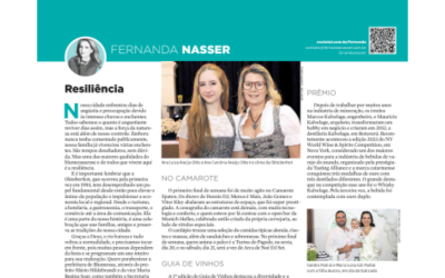 Jornal de Santa Catarina (Impresso)