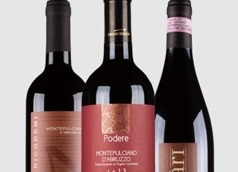 Decanter Wine Club traz os melhores vinhos importados pela Decanter