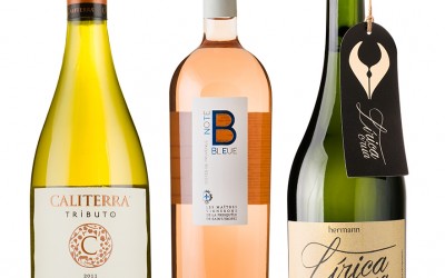 Vinhos são opções diferenciadas para apreciar na primavera