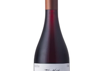 Vinhos para deixar o Dia das Mães ainda mais especial!