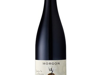 Vinhos finos e espumantes para quem deseja um Carnaval mais saboroso