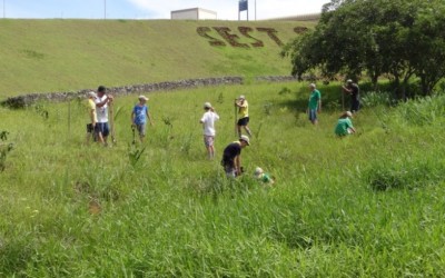 Unimed Blumenau planta mil mudas de árvores para neutralizar emissão de CO2