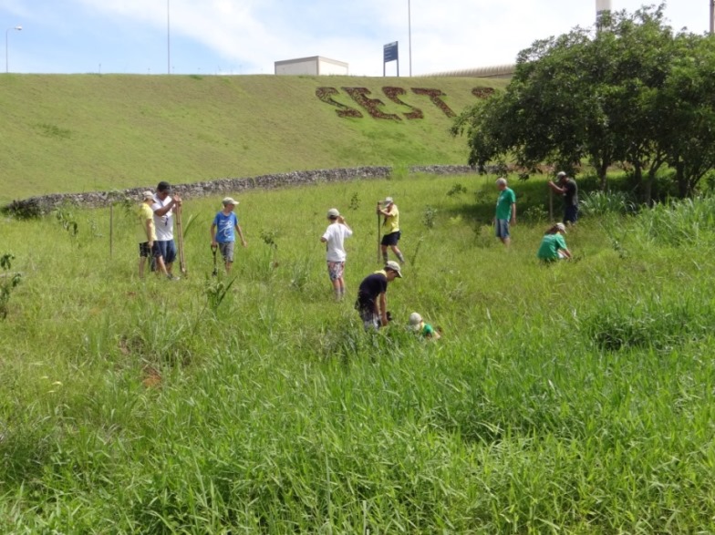 Unimed Blumenau planta mil mudas de árvores para neutralizar emissão de CO2