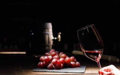 Sommelier indica vinhos para iniciantes