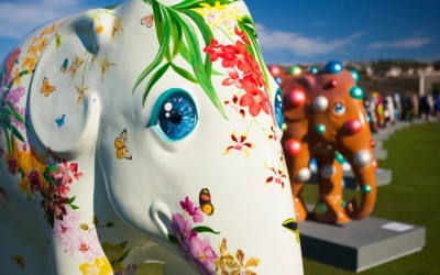 Elephant Parade acontece no Rio de Janeiro entre os meses de outubro e novembro