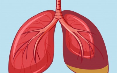 Mês da Hipertensão Pulmonar: doença desconhecida pela maioria da população brasileira