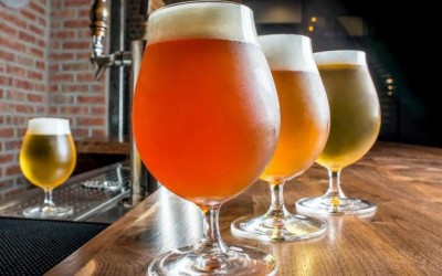 Número de cervejarias registradas cresceu 23% no último ano e a exportação do produto ganha forças