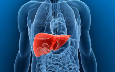 Hepatites virais: por que você deve se preocupar?