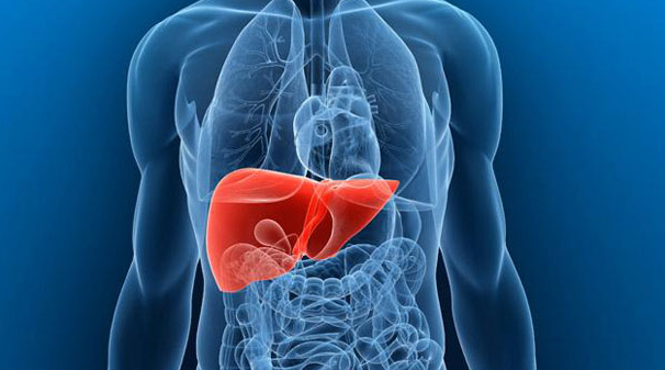 Hepatites virais: por que você deve se preocupar?