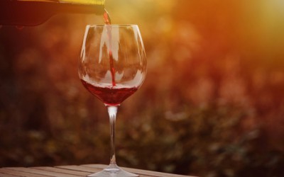 Vinhos na terra da cerveja