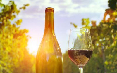 Renove a adega para a primavera: a estação das flores pede vinhos mais leves e frutados