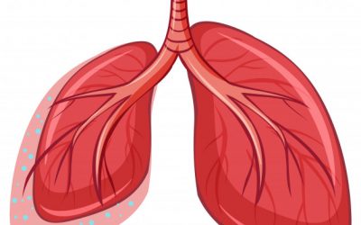 Tuberculose mata 1,5 milhão de pessoas por ano em todo o mundo
