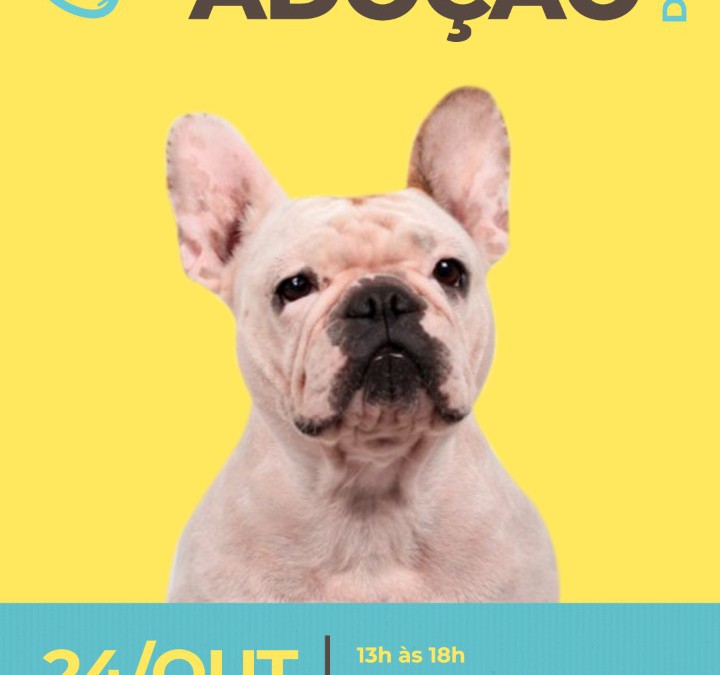 Shopping de Blumenau recebe feira de adoção de cães neste sábado