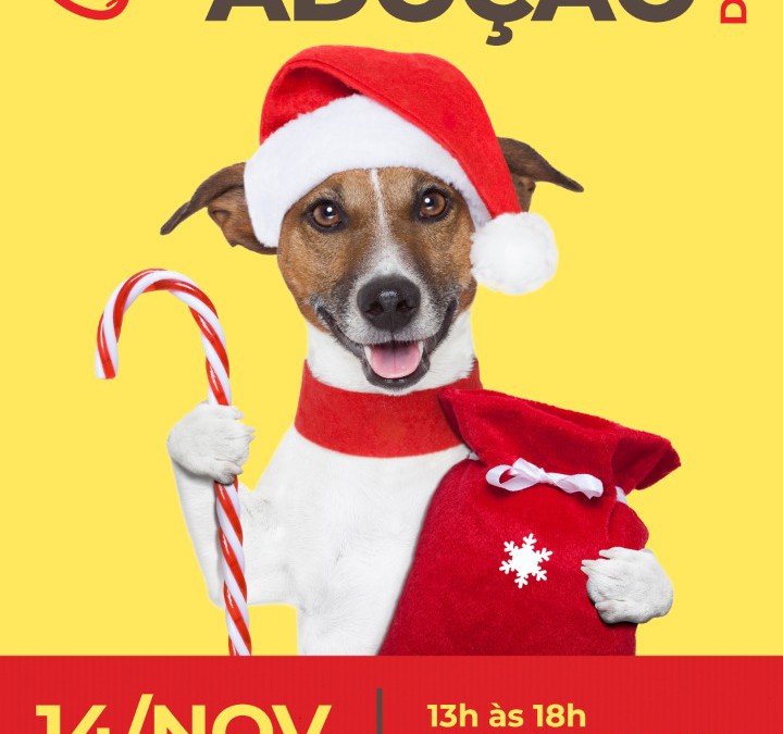 Shopping Park Europeu promove feira de adoção de cães neste sábado