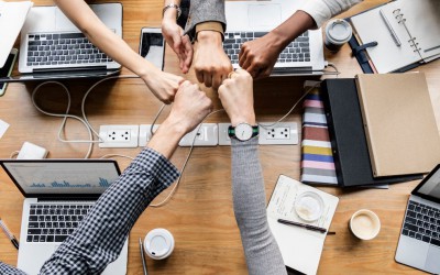 Perfil comportamental: qual a importância da comunicação dentro das organizações?