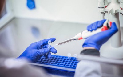 Hospital do Pulmão testa novo medicamento contra Covid-19 e busca voluntários