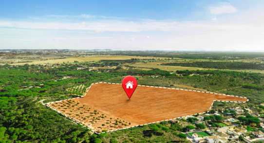 Como reduzir em até 90% os impostos e maximizar lucros na venda de imóveis rurais?