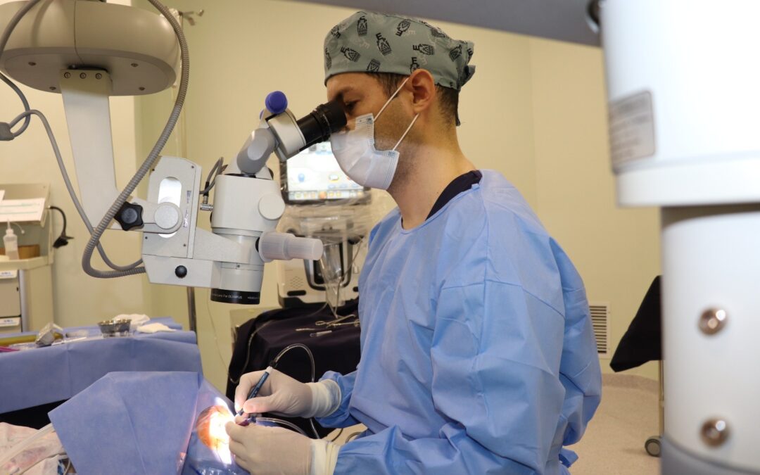 Mais da metade da população será míope até 2050, alerta OMS